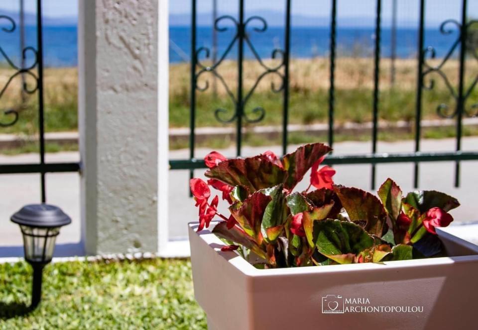 Starry Coast Apartments Неа Потидея Екстериор снимка
